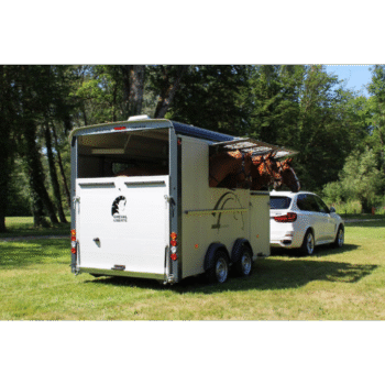 CAMIONETE DE CAVALO DE 3 LUGARES LIBERDADE TIPO "MINIMAX"